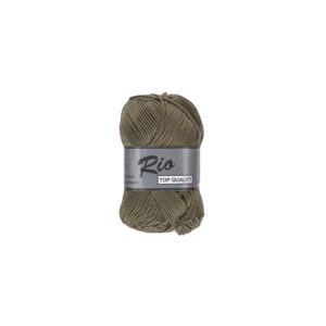 Rio 027