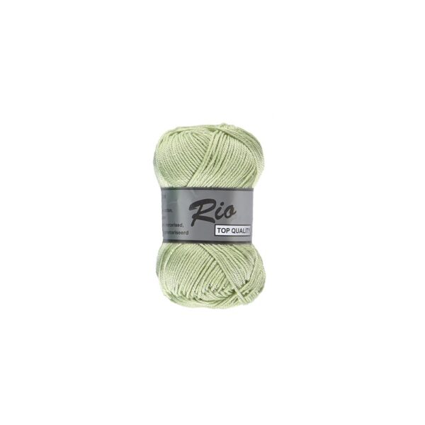 Rio 045