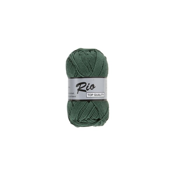 Rio 072