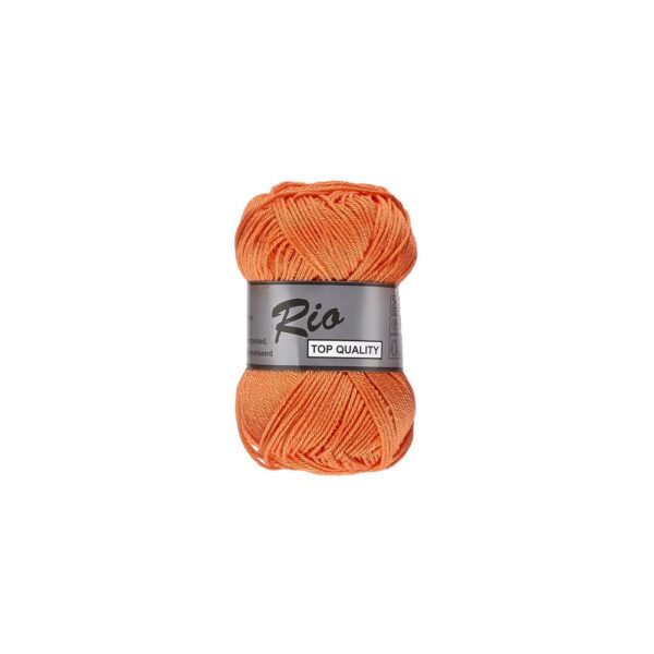 Rio 028
