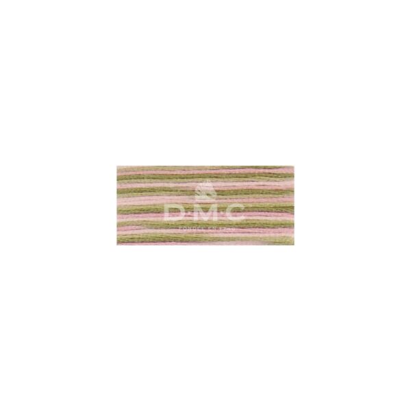 Mouliné Coloris multicolore 4500