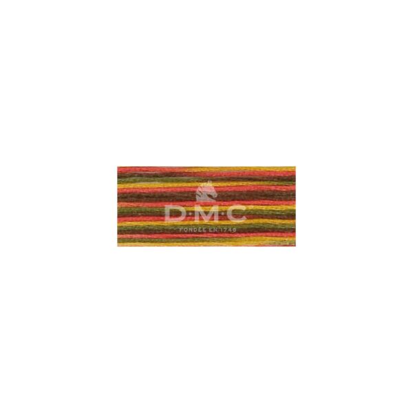 Mouliné Coloris multicolore 4511
