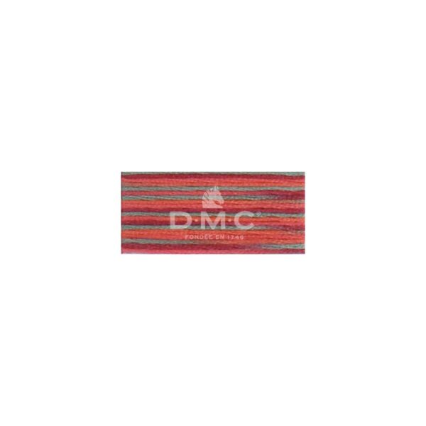 Mouliné Coloris multicolore 4517