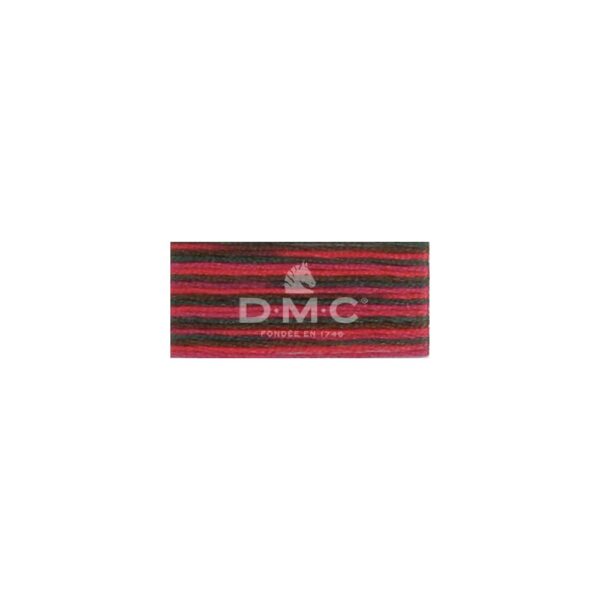 Mouliné Coloris multicolore 4519