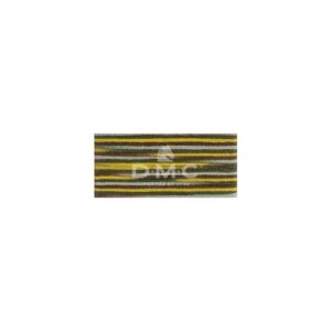 Mouliné Coloris multicolore 4521