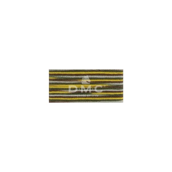 Mouliné Coloris multicolore 4521