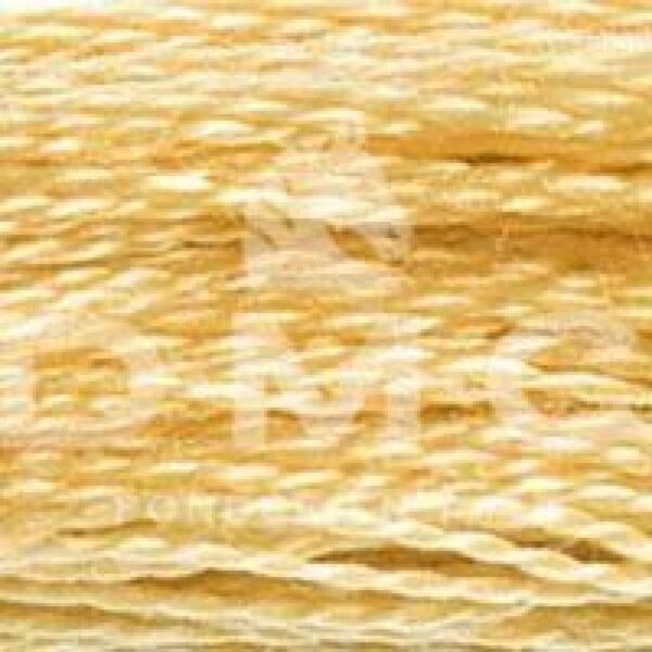Mouliné 117MC  N°676