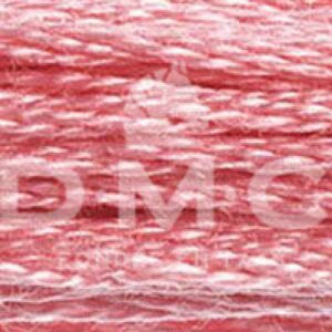 Mouliné 117MC  N°899
