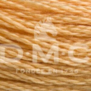 Mouliné 117MC  N°3827