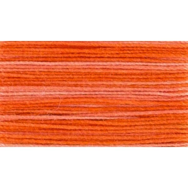 Cocons Calais   6937 capucine