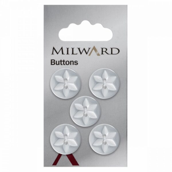 Bouton sur carte 000018