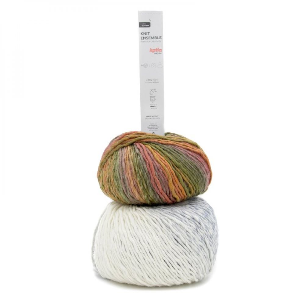Knit Ensemble Katia coloris 401