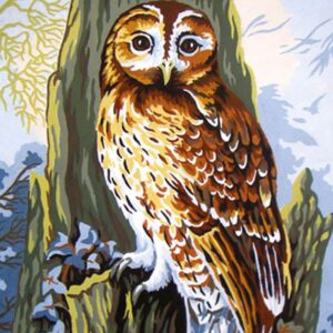 Kit canevas Hibou