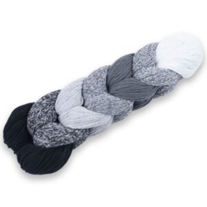 Braidy Ombre Black to White